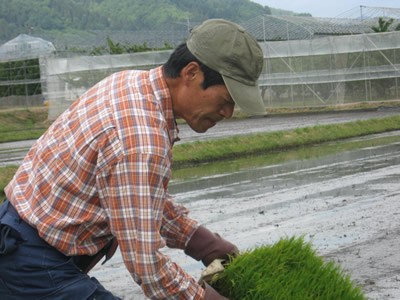 特別栽培米生産者