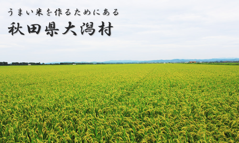 米作りのための大潟村