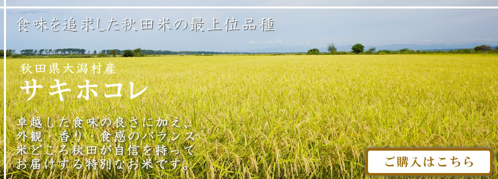 サキホコレ